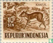 Animals for sale
