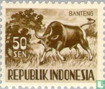 Dieren