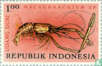 Native marine animals
