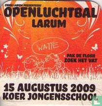 Openluchtbal Larum