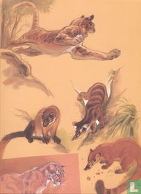 Zoo