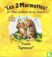 Tisane "Agrumes" acheter