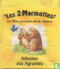 Infusion aux Agrumes
