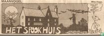 The haunted house