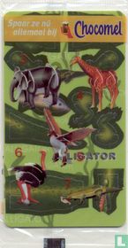 Alligator