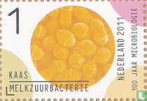 100 années Néerlandais Société pour la microbiologie