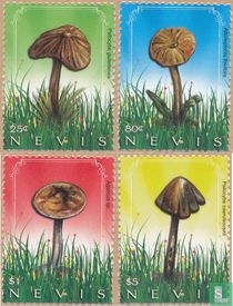 Champignons  