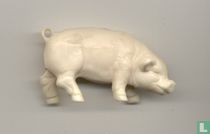 Schwein