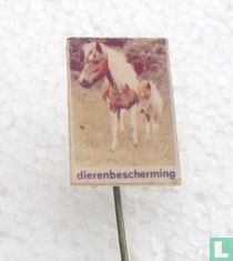 Dierenbescherming (pony)