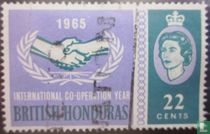 Year of International Cooperation