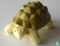 Tortoise