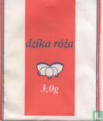 Dzika róza