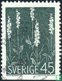 Wilde Blumen