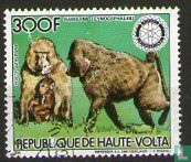 Protected animals