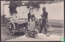 Latiere Flamande