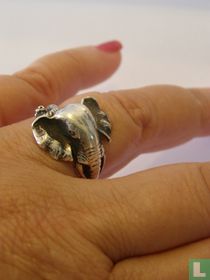 Olifant, ring