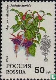 Fleurs