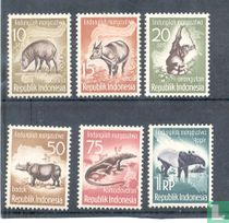 Animal Protection for sale