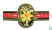 Floralia (rote Flügel) zigarrenbänder katalog