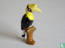 Hornbill