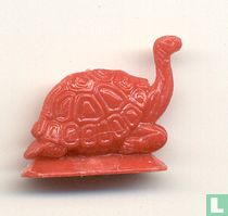 Tortue