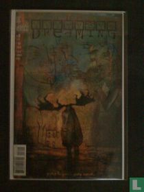 The Dreaming 16