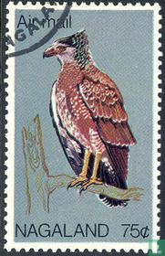 Birds for sale