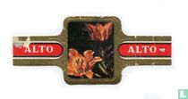 Alpina cigar labels catalogue