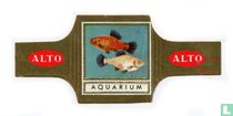 Aquarium cigar labels catalogue