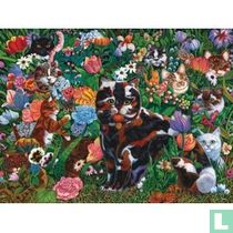 Kitty Garden