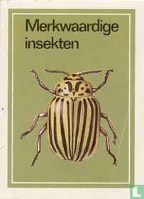 Merkwaardige insekten