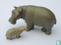 Avec les jeunes hippopotames