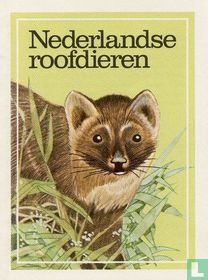 Nederlandse roofdieren