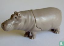 Hippopotame