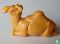 Dromadaire