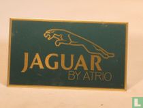 Jaguar par Atrio