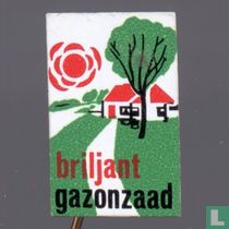 briljant gazonzaad