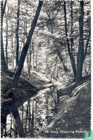 De Steeg, Omgeving Posbank