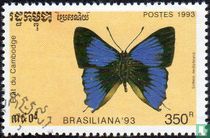 Brasiliana '93 - Schmetterlinge kaufen