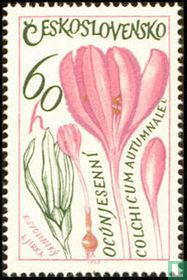 Herbes médicinales acheter