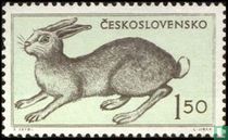 Tiere