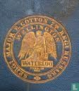 A Voice from Waterloo, a history of the battle