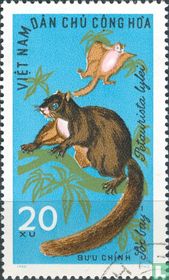 Wild animals