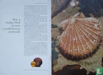 Shell-Anzeige 1961