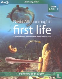 First Life