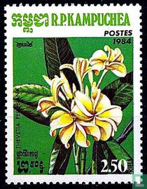 Bloem Thevetia perubiana