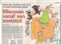 Miauen vom Sockel aus