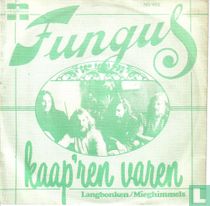 Kaap'ren varen