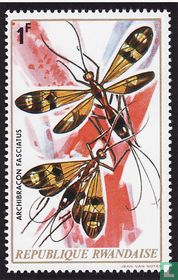 Insects