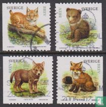 Tiere kaufen